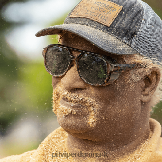 Pit Viper de landlåste polariserede excitere LNV8R823