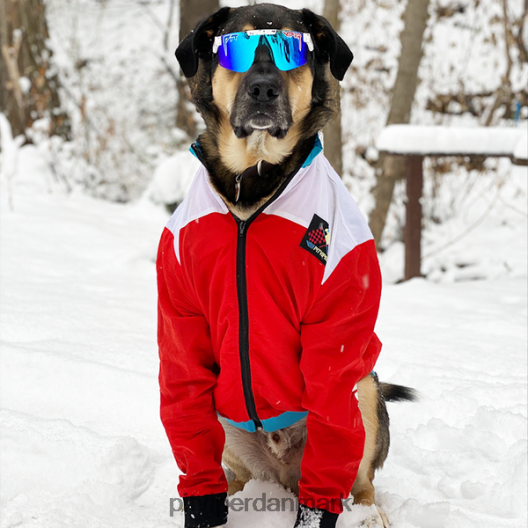 Pit Viper de polariserede solbriller med absolut frihed LNV8R8148