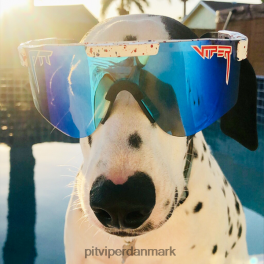 Pit Viper den absolutte frihed polariserede dobbelt brede solbriller LNV8R8121