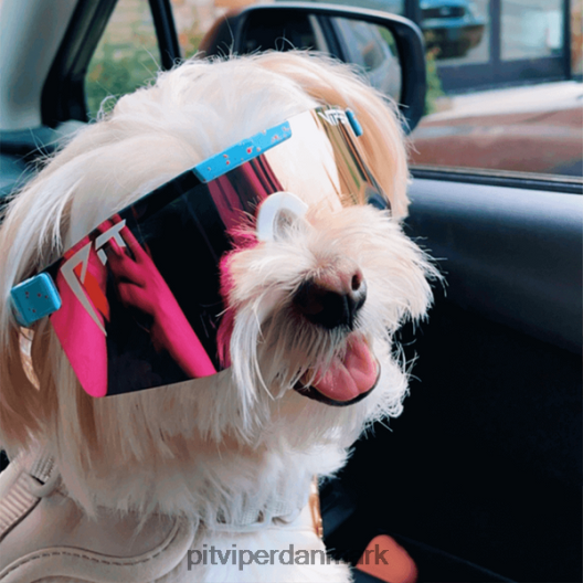 Pit Viper gobby polariseret dobbelt bred LNV8R8137