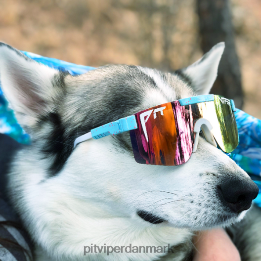 Pit Viper gobbyen polariserede LNV8R878