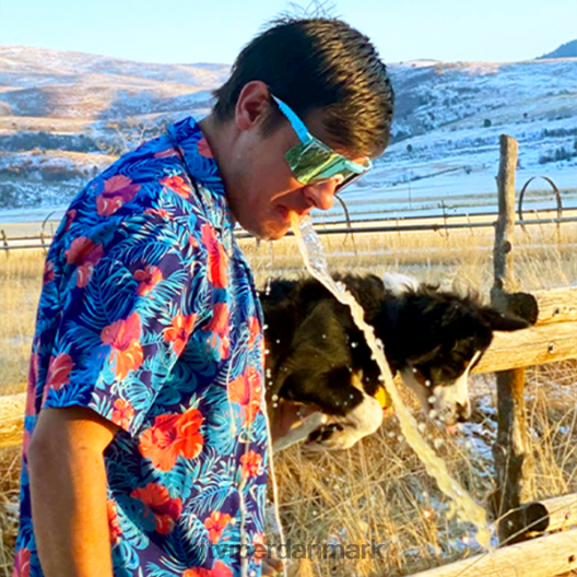 Pit Viper kanonkuglen polariserede dobbelt bred LNV8R8146