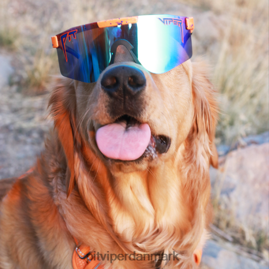 Pit Viper knusningen polariseret dobbelt bred LNV8R865