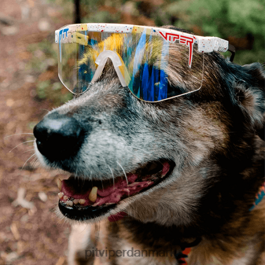 Pit Viper merika night shades dobbelt brede solbriller LNV8R883