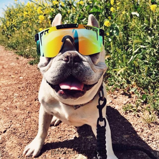 Pit Viper monstertyren polariserede LNV8R8107