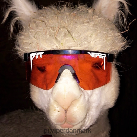 Pit Viper mudderslyngen LNV8R873