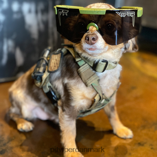 Pit Viper njp 2000'erne LNV8R8150